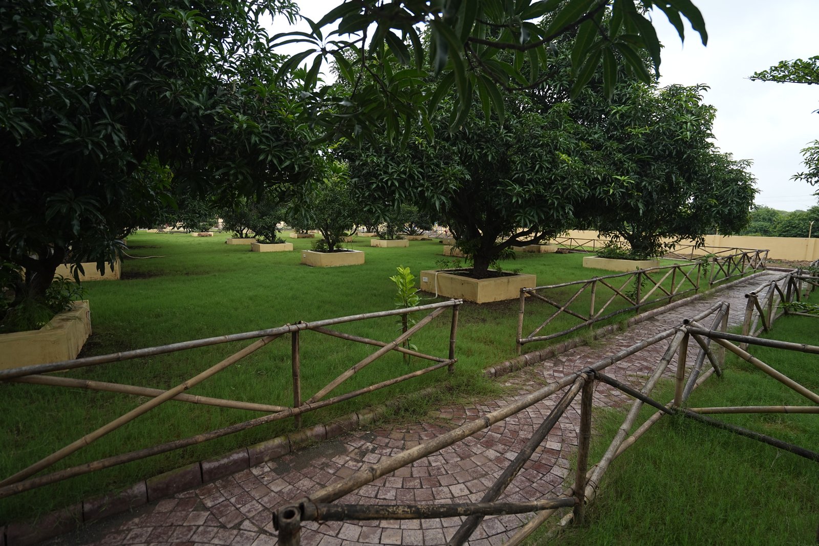 Lush Gardens & Lawns